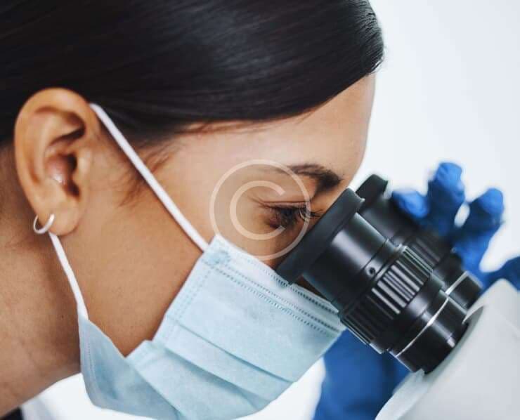 Research & Innovation